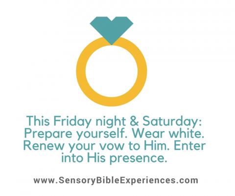 This Friday Night and Saturday... Vow Renewal...Enter In www.SensoryBibleExperiences.com_.jpg